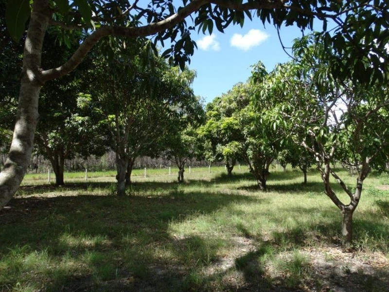 497 Muller Road, Baffle Creek QLD 4674