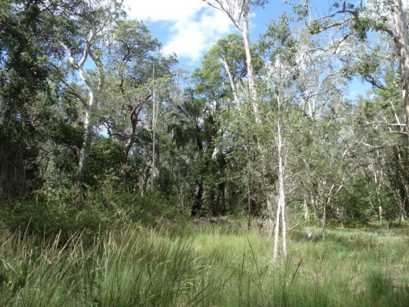 497 Muller Road, Baffle Creek QLD 4674