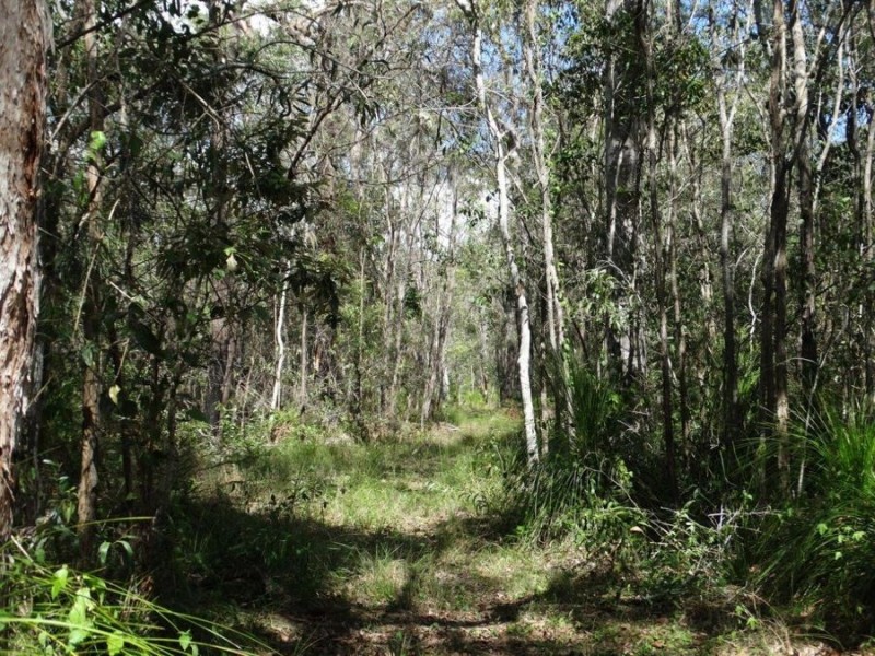 497 Muller Road, Baffle Creek QLD 4674