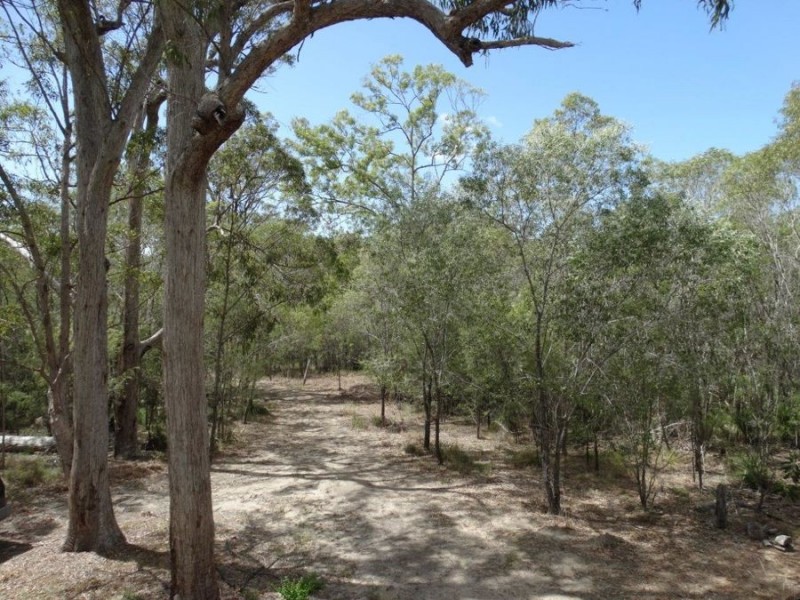 497 Muller Road, Baffle Creek QLD 4674