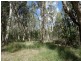 497 Muller Road, Baffle Creek QLD 4674