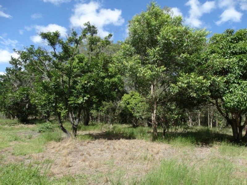 497 Muller Road, Baffle Creek QLD 4674