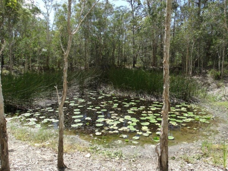 497 Muller Road, Baffle Creek QLD 4674