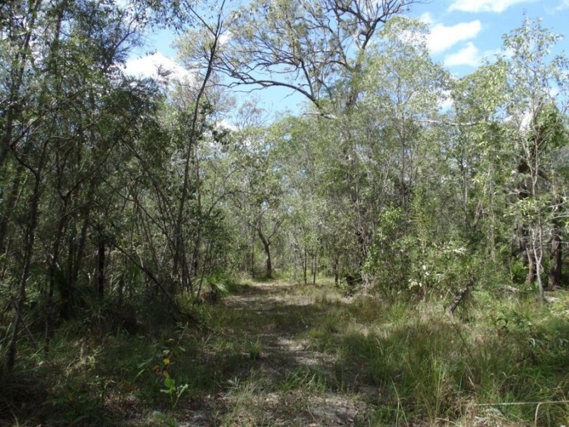 497 Muller Road, Baffle Creek QLD 4674