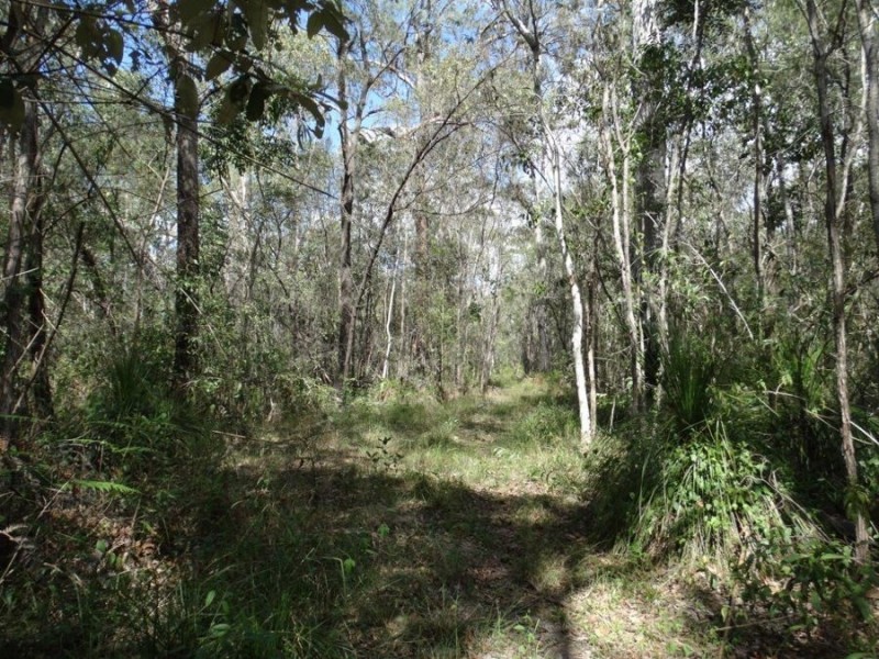 497 Muller Road, Baffle Creek QLD 4674