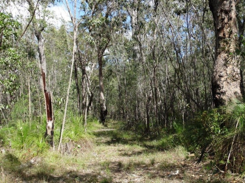 497 Muller Road, Baffle Creek QLD 4674