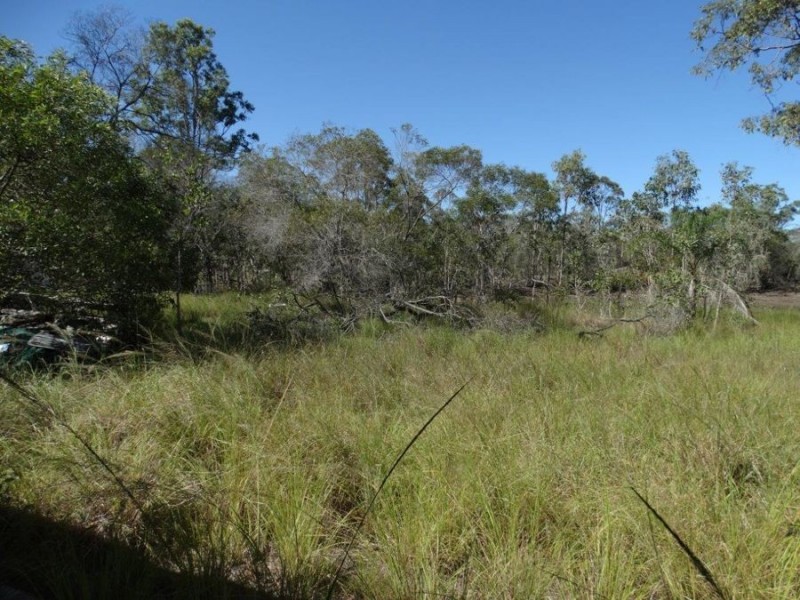 84 Newtons Road, Rosedale QLD 4674