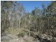 84 Newtons Road, Rosedale QLD 4674