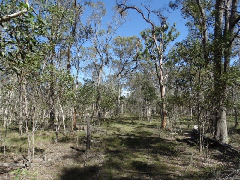 84 Newtons Road, Rosedale QLD 4674