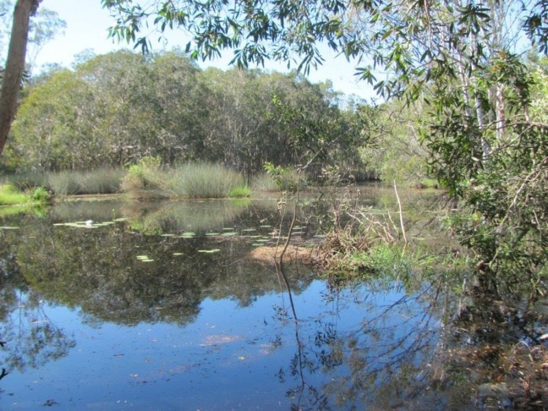 302 Coast Road, Baffle Creek QLD 4674