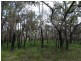 68 Oceania Court, Deepwater QLD 4674