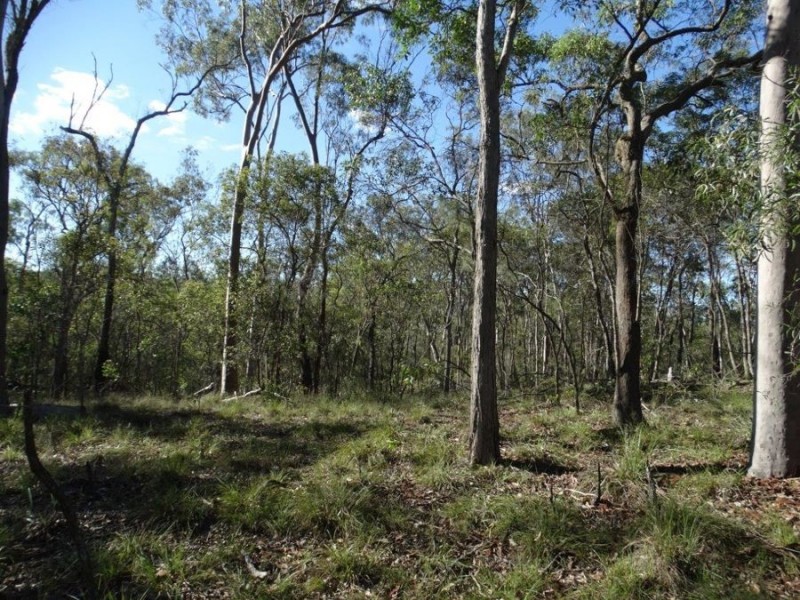 458 Cross Road, Euleilah QLD 4674