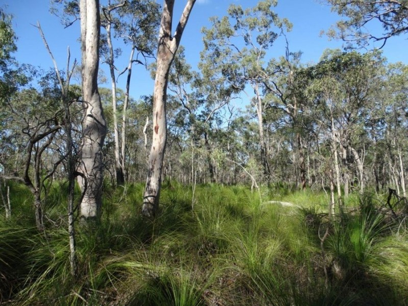 458 Cross Road, Euleilah QLD 4674