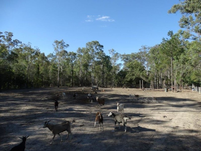 458 Cross Road, Euleilah QLD 4674