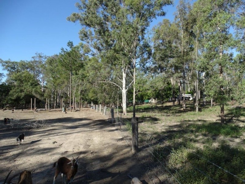 458 Cross Road, Euleilah QLD 4674