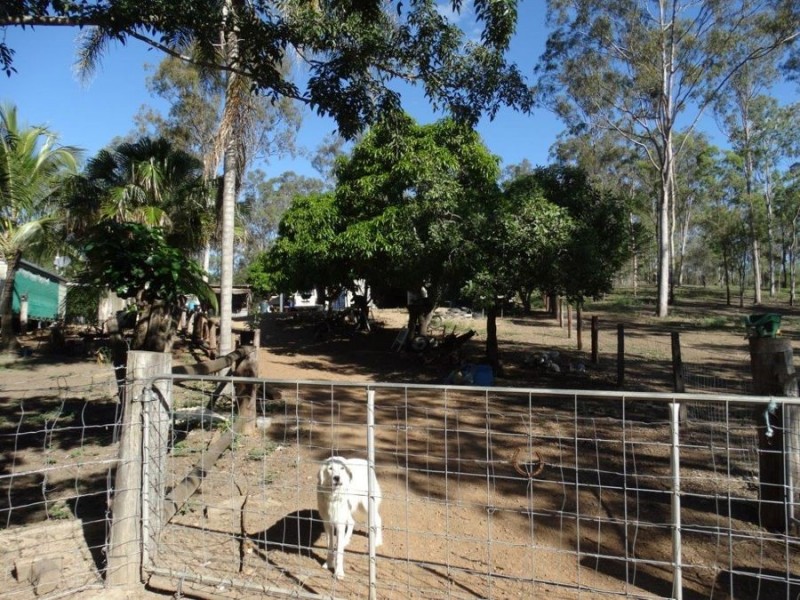 458 Cross Road, Euleilah QLD 4674