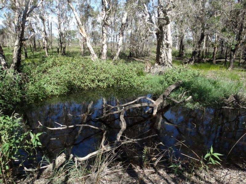 Lot 3 Maude Hill Road, Deepwater QLD 4674