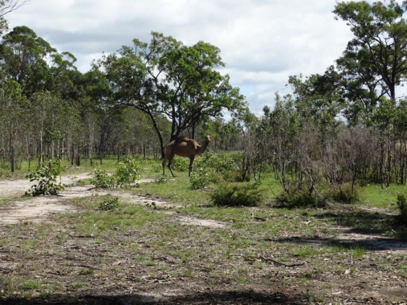 Lot 3 Maude Hill Road, Deepwater QLD 4674