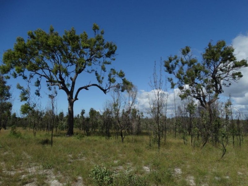 Lot 3 Maude Hill Road, Deepwater QLD 4674