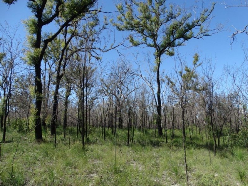 Lot 3 Maude Hill Road, Deepwater QLD 4674