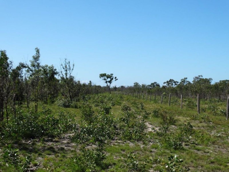 Lot 3 Maude Hill Road, Deepwater QLD 4674