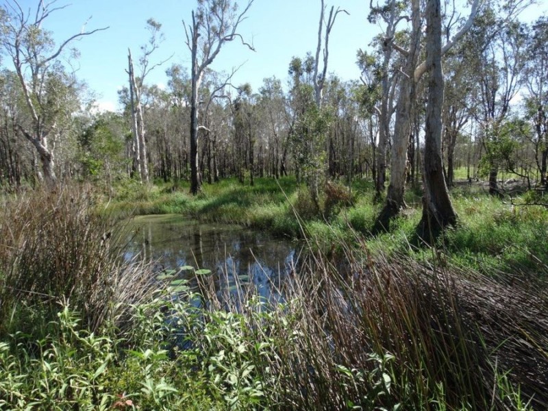 Lot 3 Maude Hill Road, Deepwater QLD 4674