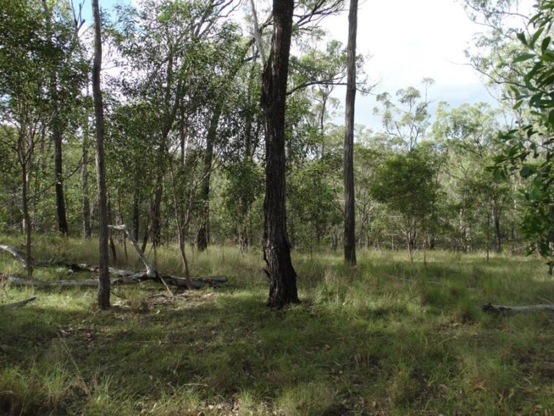 907 Hills Road, Mount Maria QLD 4674