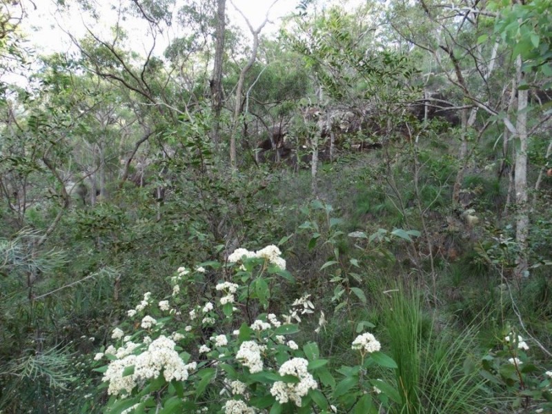 907 Hills Road, Mount Maria QLD 4674