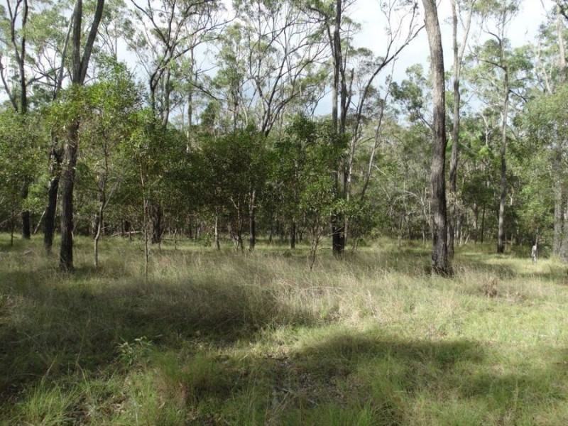 907 Hills Road, Mount Maria QLD 4674