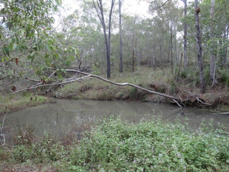 907 Hills Road, Mount Maria QLD 4674