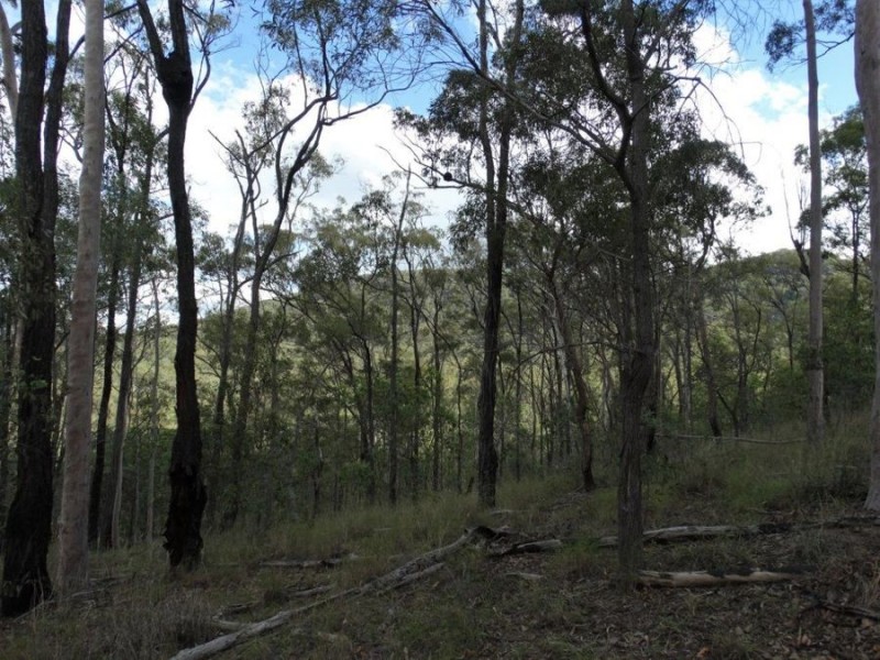 907 Hills Road, Mount Maria QLD 4674