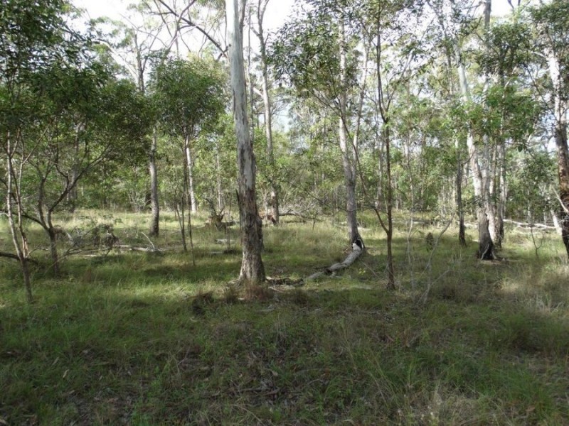 907 Hills Road, Mount Maria QLD 4674