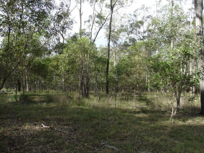 907 Hills Road, Mount Maria QLD 4674