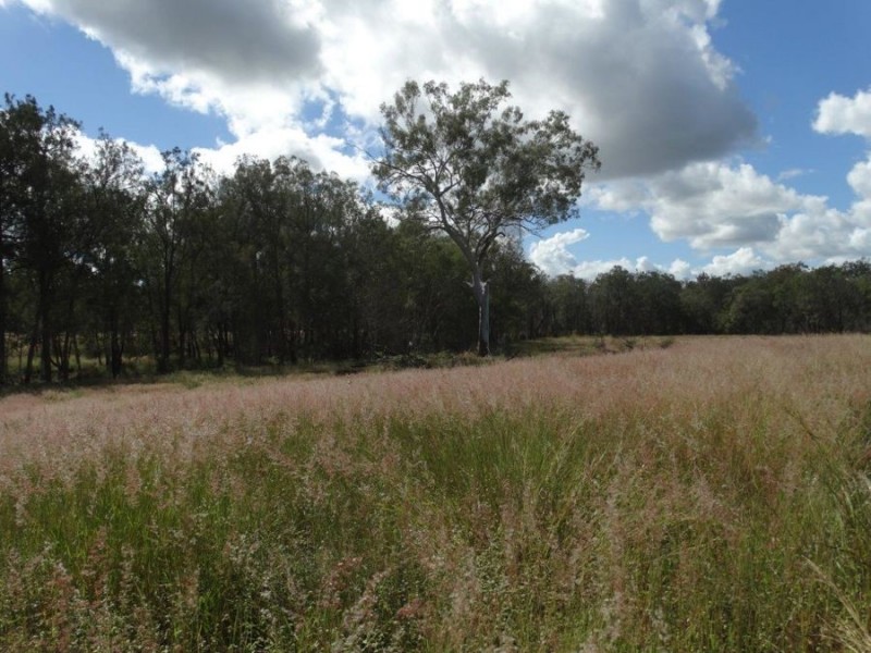 Lot 1 Blackman Gap Road, Colosseum QLD 4677