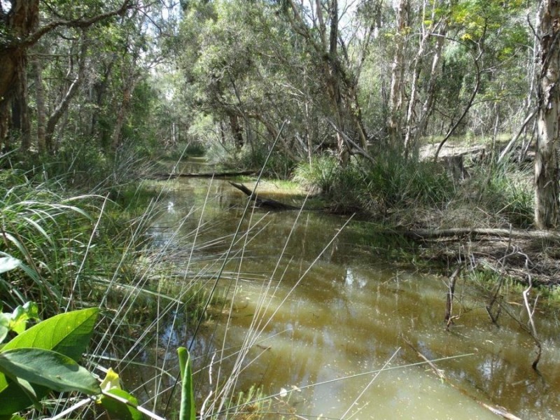 67 Jones Road, Bucca QLD 4670