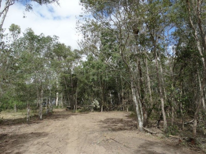 67 Jones Road, Bucca QLD 4670