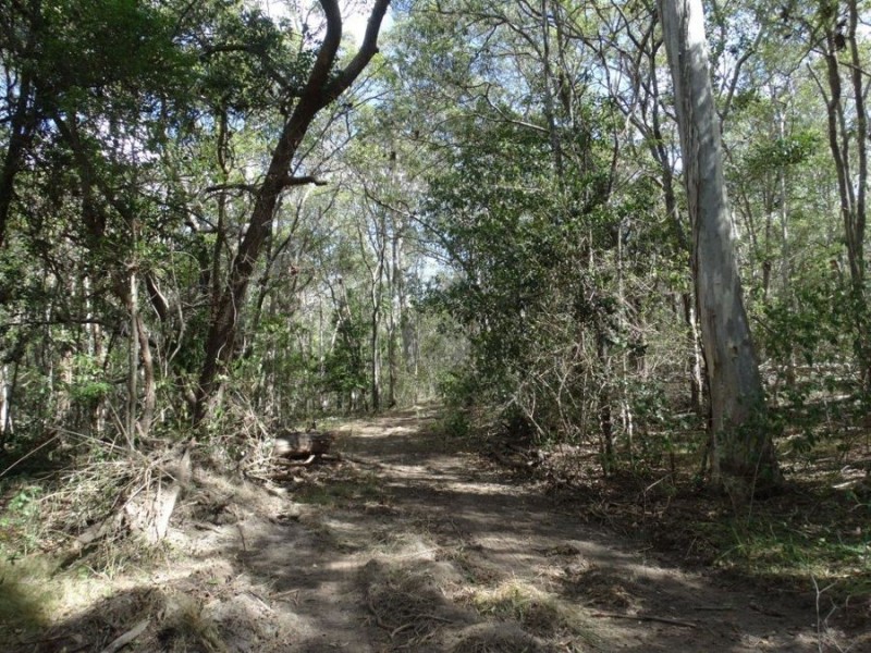 67 Jones Road, Bucca QLD 4670