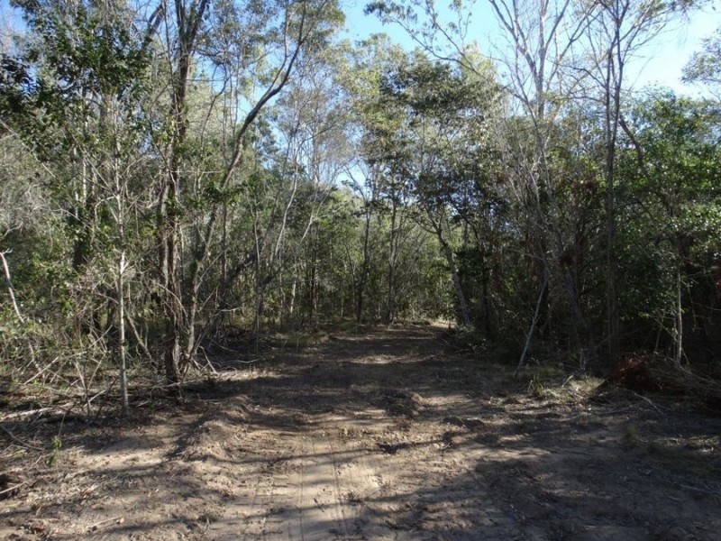 67 Jones Road, Bucca QLD 4670