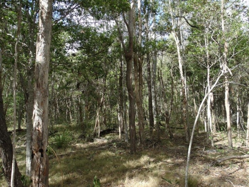 67 Jones Road, Bucca QLD 4670