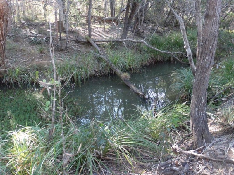 67 Jones Road, Bucca QLD 4670