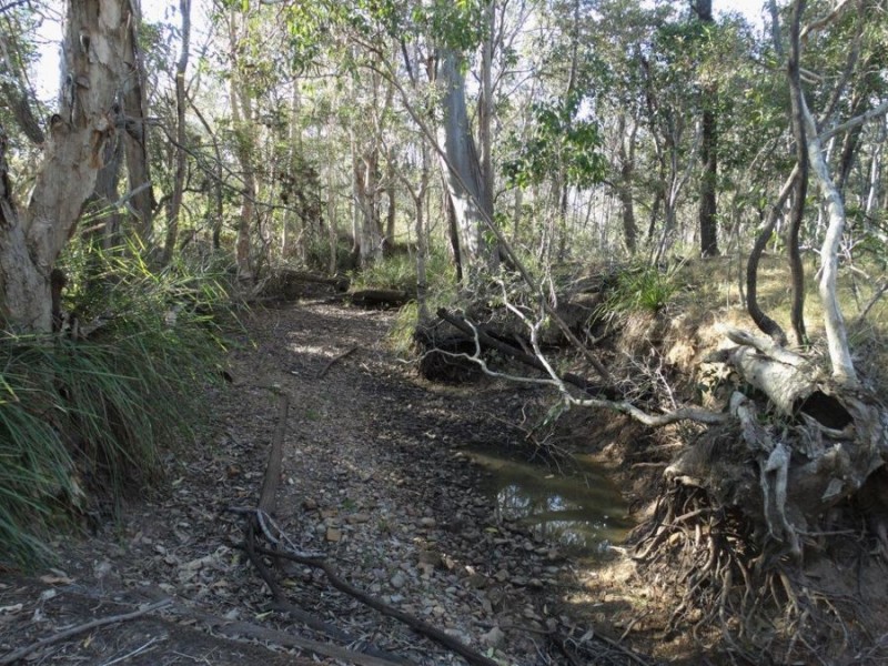 67 Jones Road, Bucca QLD 4670