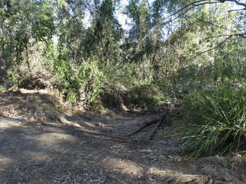 67 Jones Road, Bucca QLD 4670