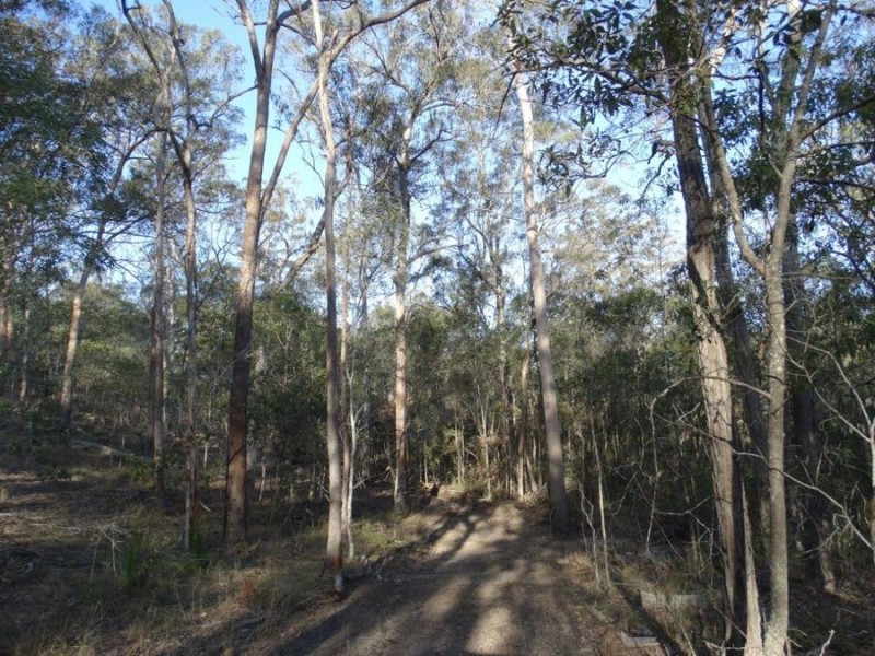 67 Jones Road, Bucca QLD 4670