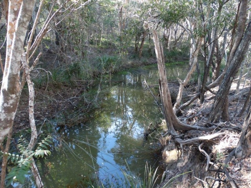 67 Jones Road, Bucca QLD 4670