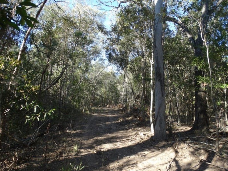 67 Jones Road, Bucca QLD 4670