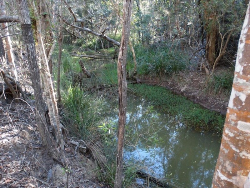 67 Jones Road, Bucca QLD 4670