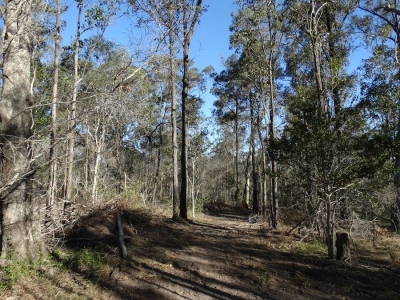 67 Jones Road, Bucca QLD 4670