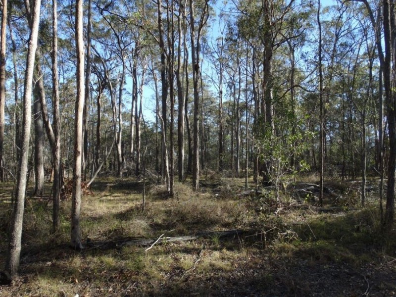 67 Jones Road, Bucca QLD 4670