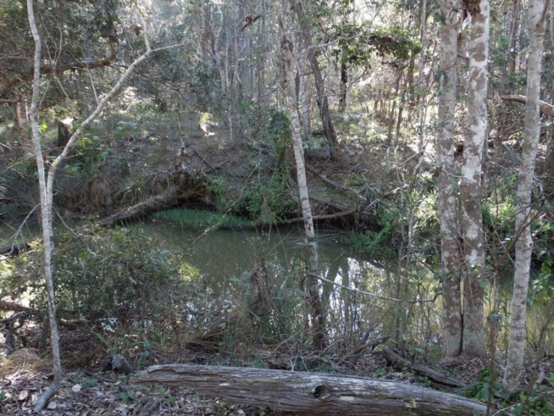 67 Jones Road, Bucca QLD 4670