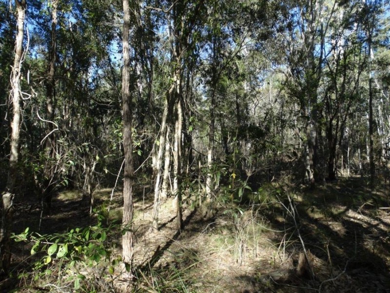 67 Jones Road, Bucca QLD 4670